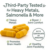 Me First Living Turmeric Curcumin Supplement capsule close-up