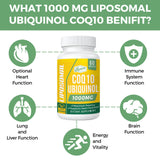 Mecinalis CoQ10 Ubiquinol 1000mg softgel back view