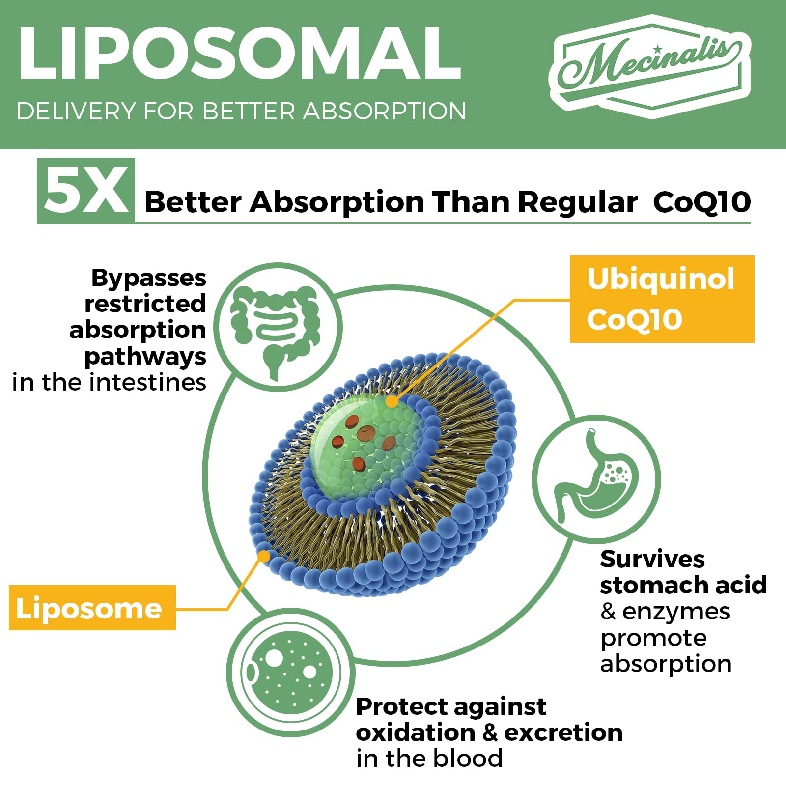 Mecinalis CoQ10 Ubiquinol 1000mg softgels on a table