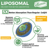 Mecinalis CoQ10 Ubiquinol 1000mg softgels on a table
