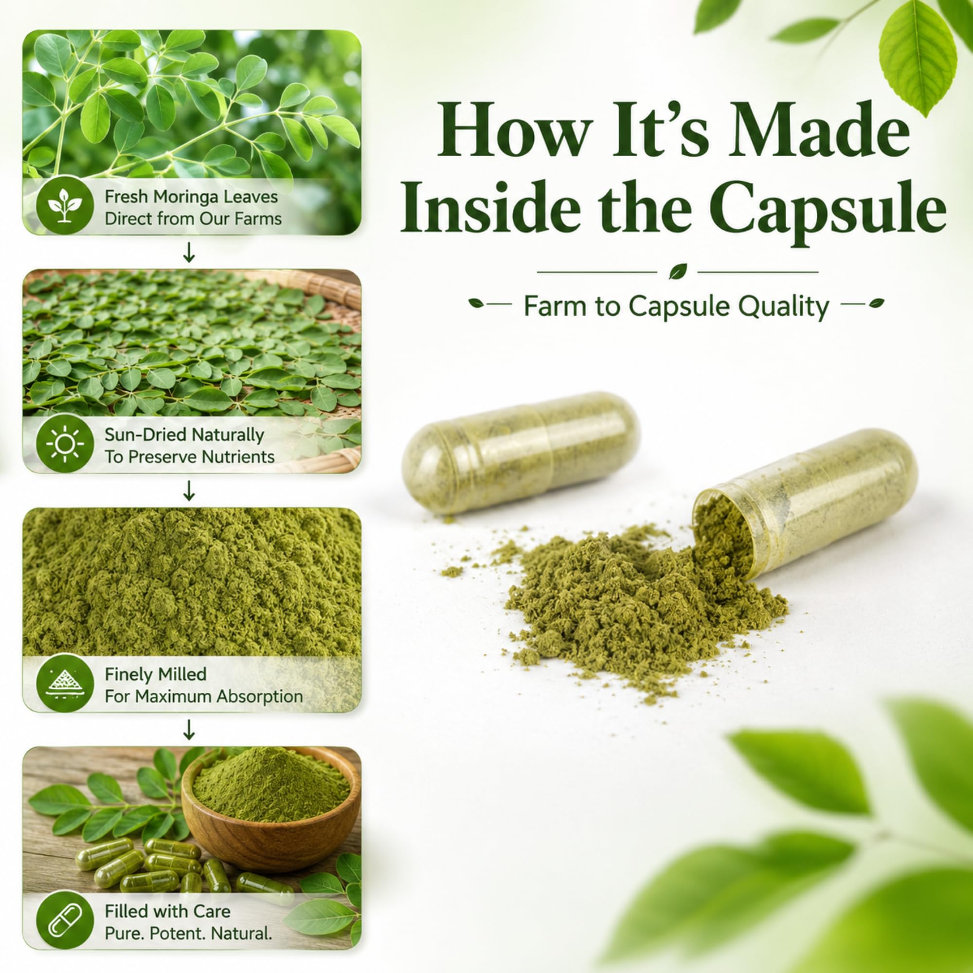 MEDI BOTIC Moringa Leaf Capsules 800mg capsules in hand