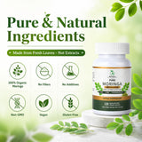 MEDI BOTIC Moringa Leaf Capsules 800mg capsules on a table