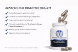 MediVite Artichoke Capsules ingredients list