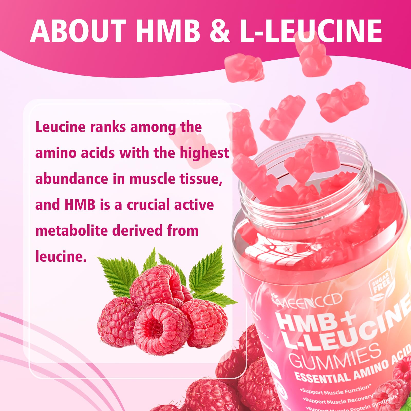 MEENCCD HMB Leucine Amino Acids Gummies with a measuring scoop