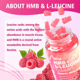 MEENCCD HMB Leucine Amino Acids Gummies with a measuring scoop