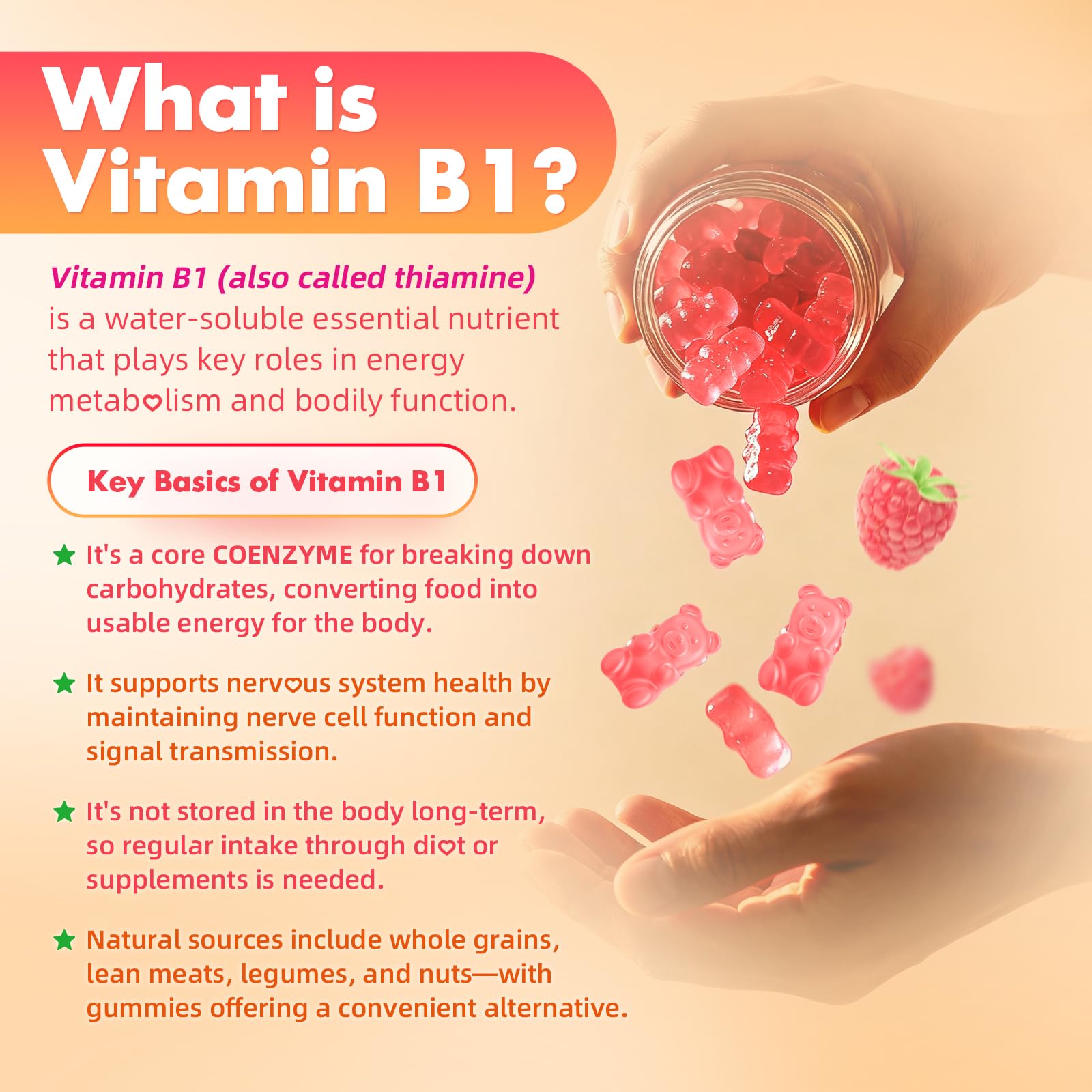 MEENCCD Vitamin B1 Gummies displayed with fresh raspberries
