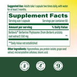 MegaFood Berberine Phytosome 550mg capsules bottle side view