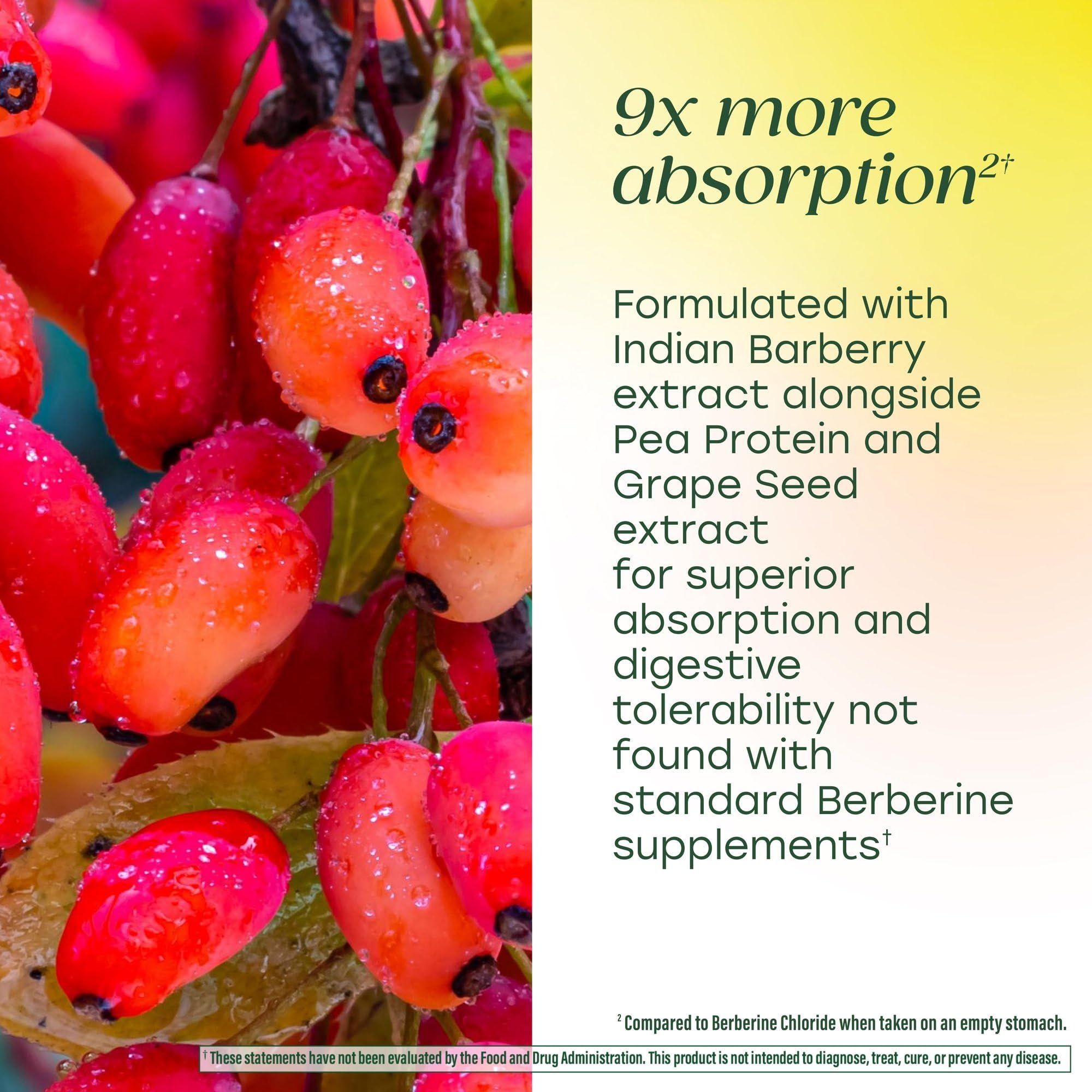 MegaFood Berberine Phytosome capsules on a wooden table