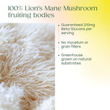 MegaFood Lions Mane Mushroom Capsules capsules close-up