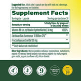 MegaFood Probiotic Supplement for Women capsule close-up