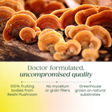 MegaFood Reishi Mushroom Capsules showing two capsules