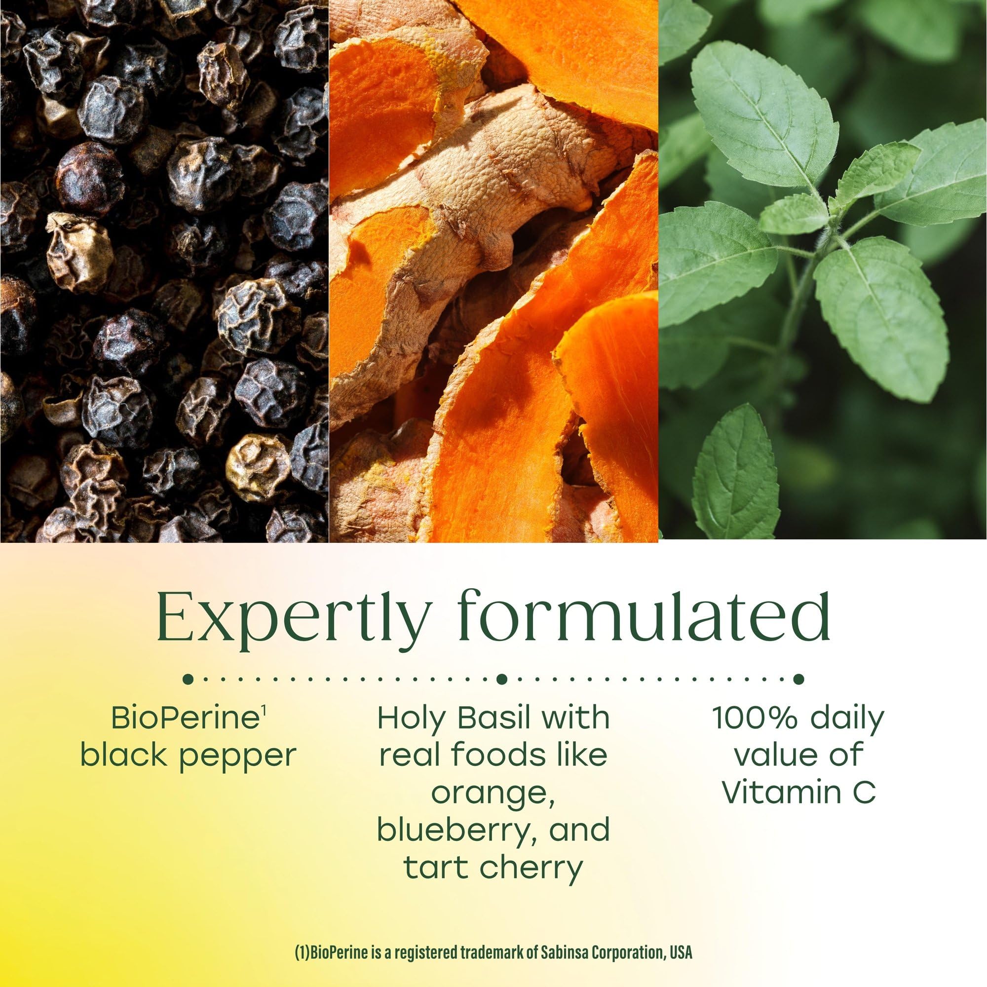 MegaFood Turmeric Powder 500mg with smoothie ingredients
