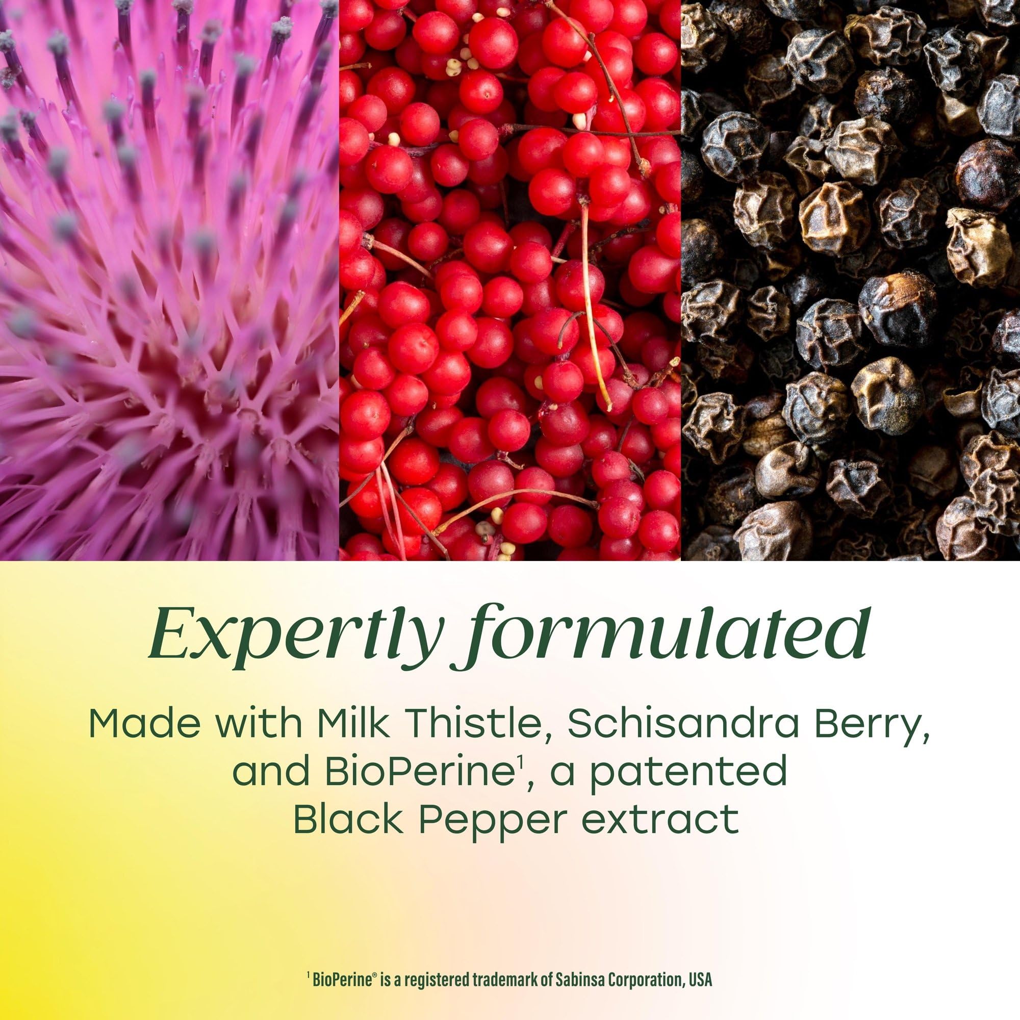MegaFood Turmeric Strength Blend packaging details
