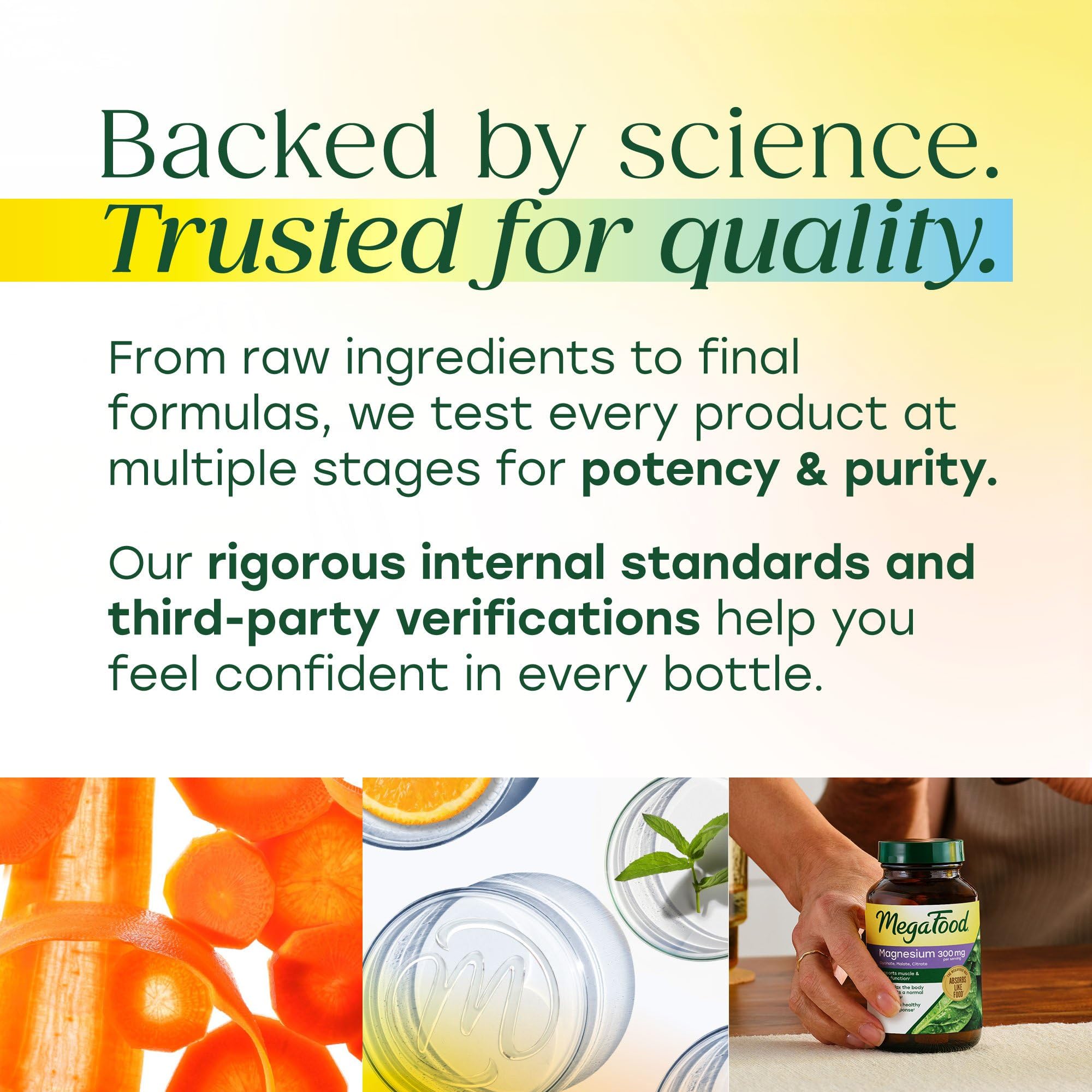 MegaFood Whole Body Multivitamin for Women in a kitchen setting