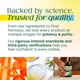 MegaFood Whole Body Multivitamin for Women in a kitchen setting