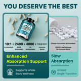 MEGNETA Multi-Enzyme Supplement capsules close-up