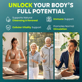 MEGNETA Multi-Enzyme Supplement ingredients list