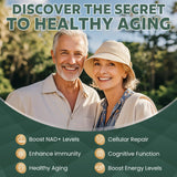 MEGNETA NAD+ Supplement bottle with natural ingredients