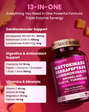 MEGNETA Nattokinase supplement capsules in a hand
