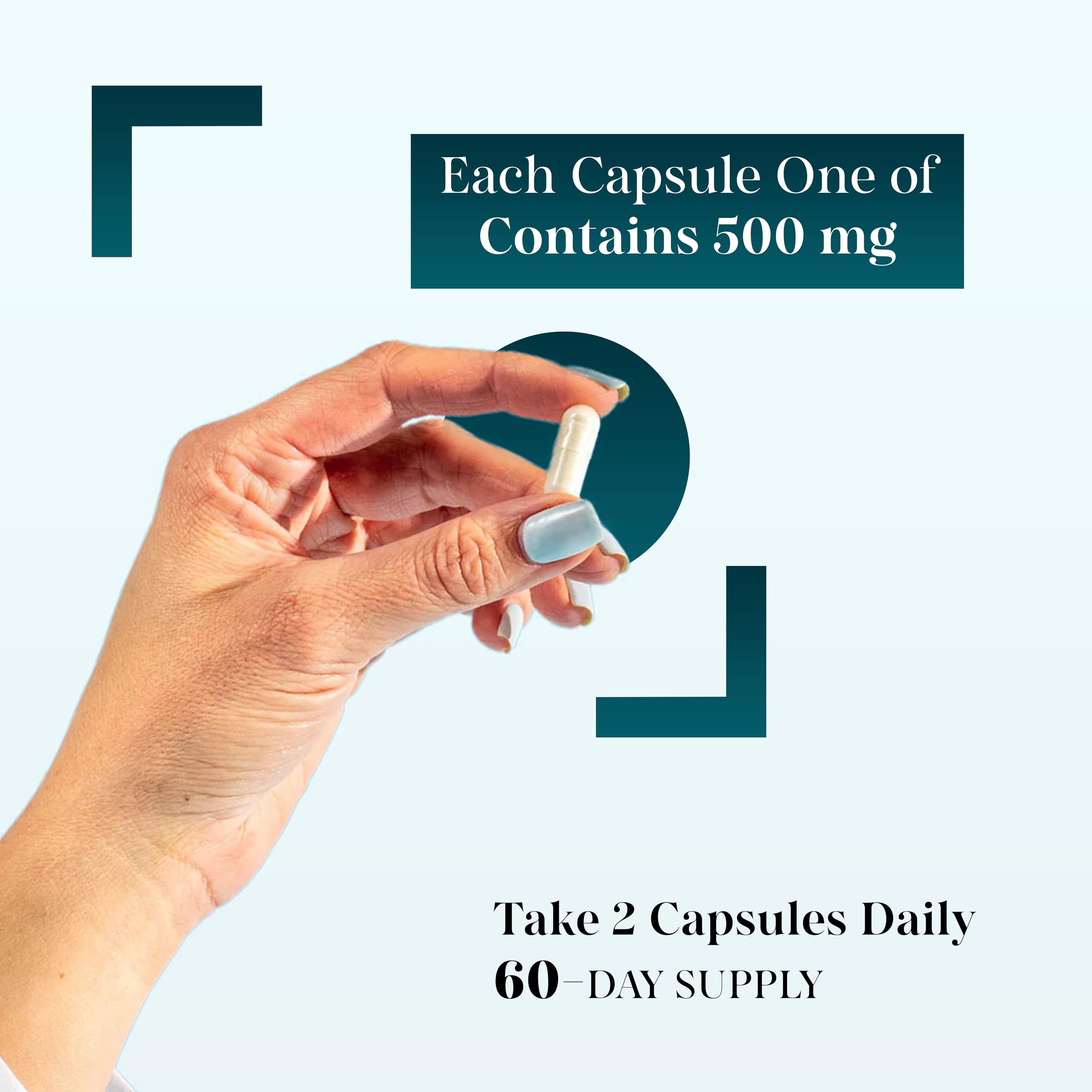 MEIBOTAN Acetyl-L-Carnitine 1000mg capsules close-up