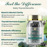 Meliorantheris Thyroid Extract 375mg back label details