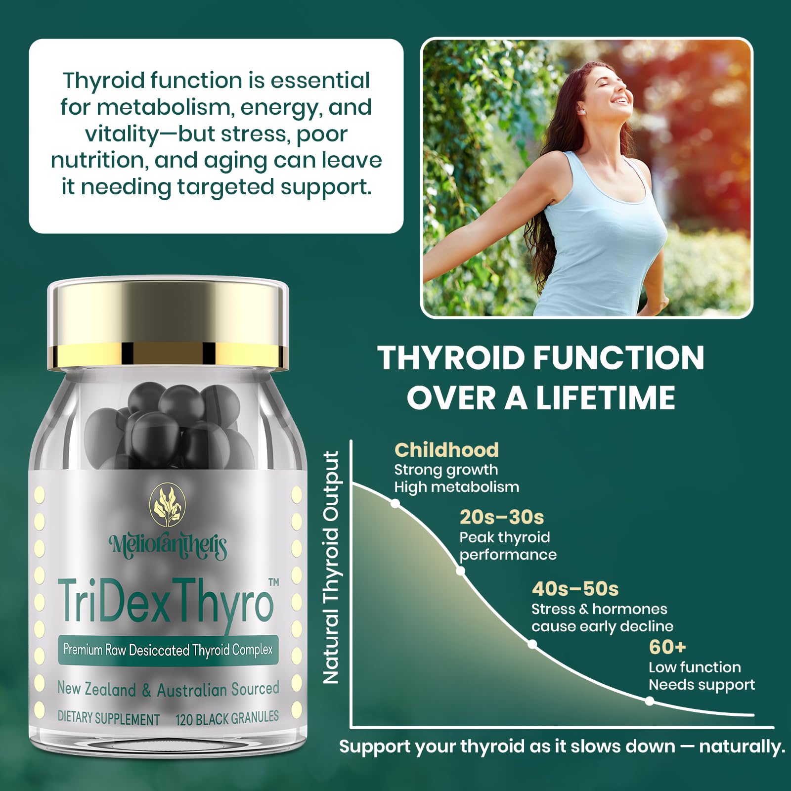 Meliorantheris Thyroid Extract 375mg granules close-up