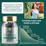 Meliorantheris Thyroid Extract 375mg granules close-up
