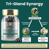 Meliorantheris Thyroid Extract 375mg lifestyle scene