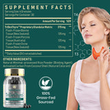 Meliorantheris Thyroid Extract 375mg packaging side view