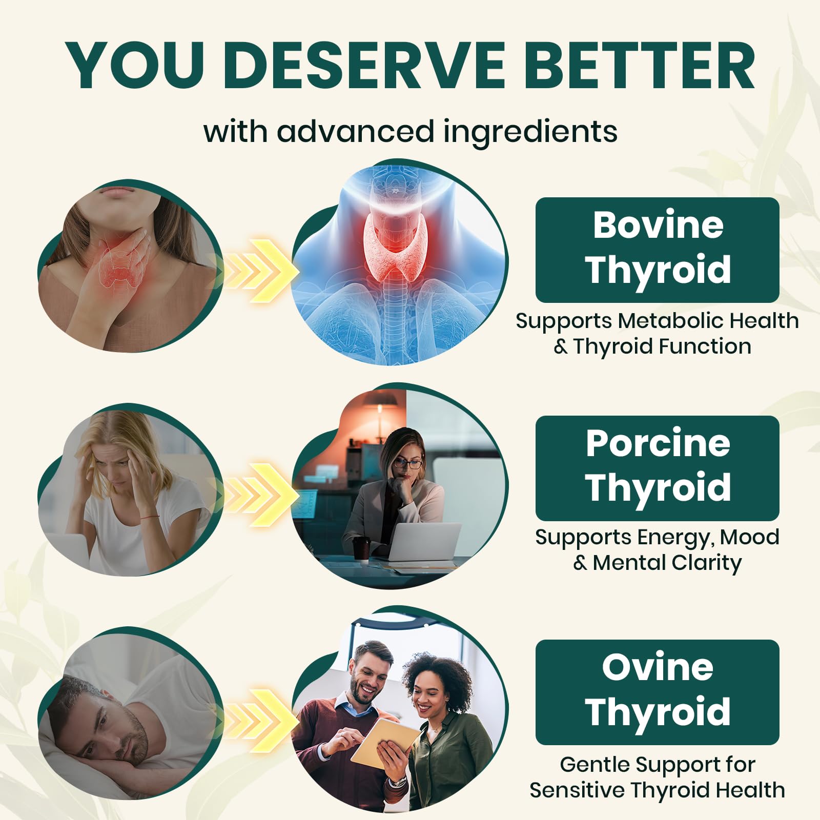 Meliorantheris Thyroid Extract 375mg product on a wooden table