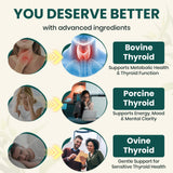 Meliorantheris Thyroid Extract 375mg product on a wooden table
