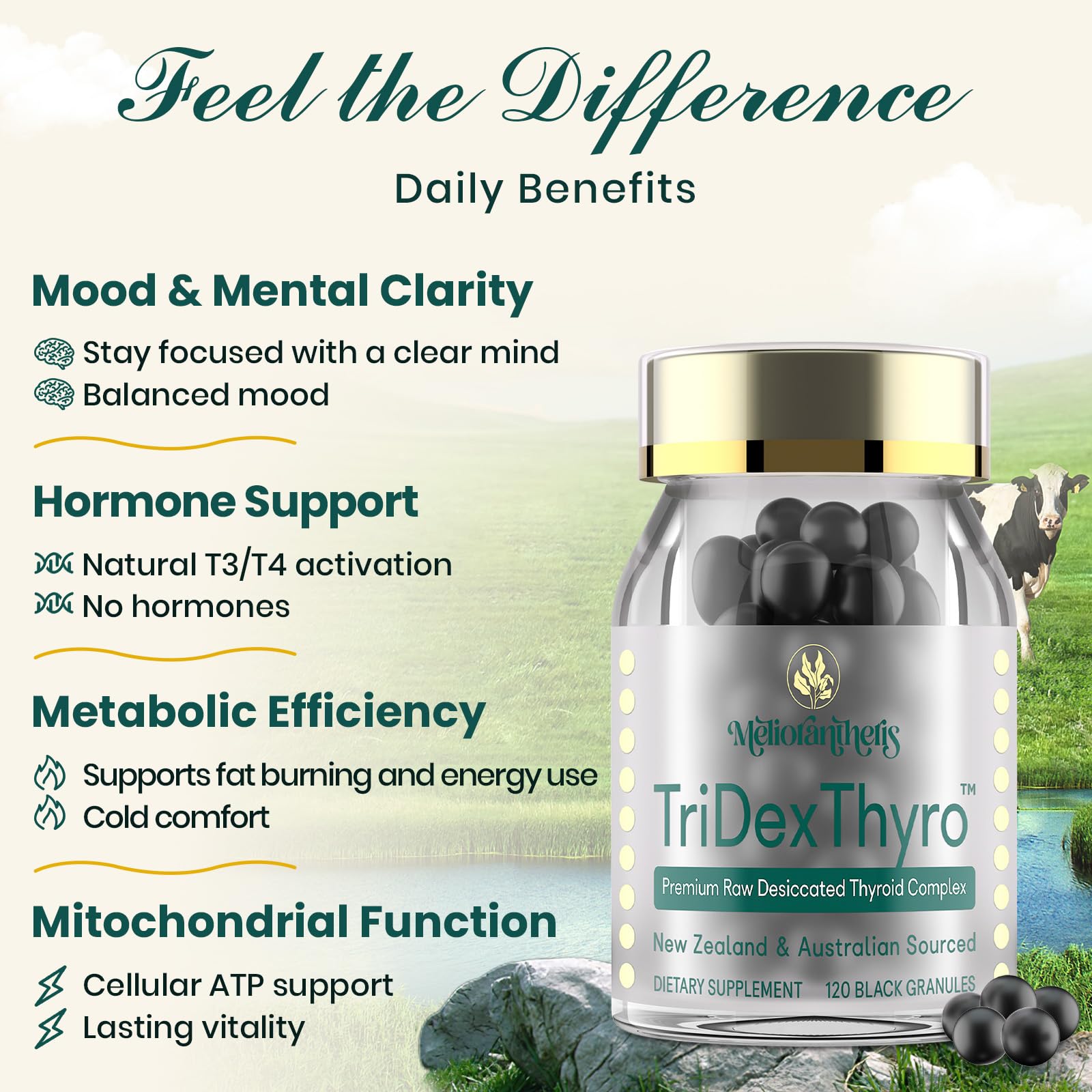 Meliorantheris Thyroid Extracts 375mg granules close-up