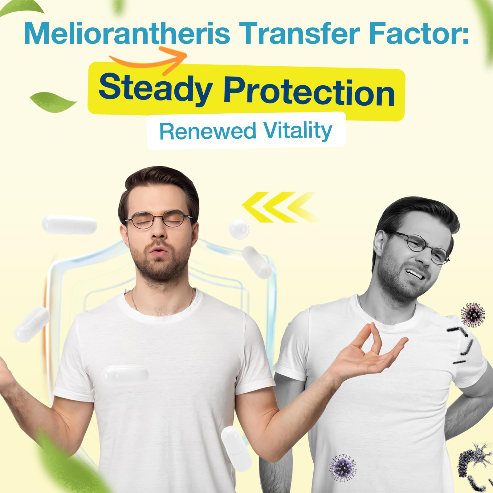Meliorantheris Transfer Factor supplement back view packaging