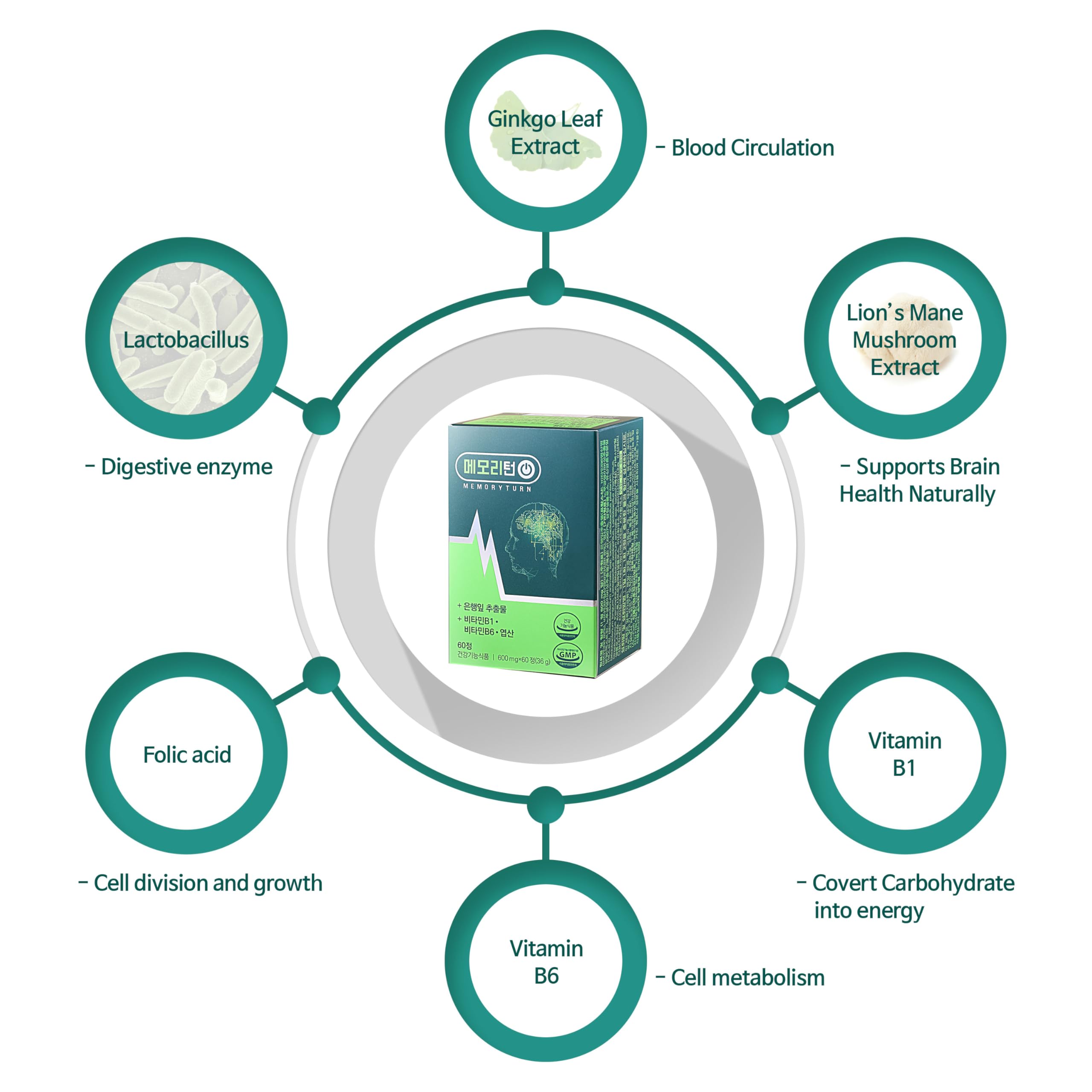 Memoryturn Ginkgo Biloba & Lion’s Mane Mushroom Supplement ingredients list