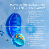 Meraki Medicinal Methylene Blue Drops in a lifestyle setting