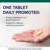 Metagenics Adrenal Extracts supplement side view