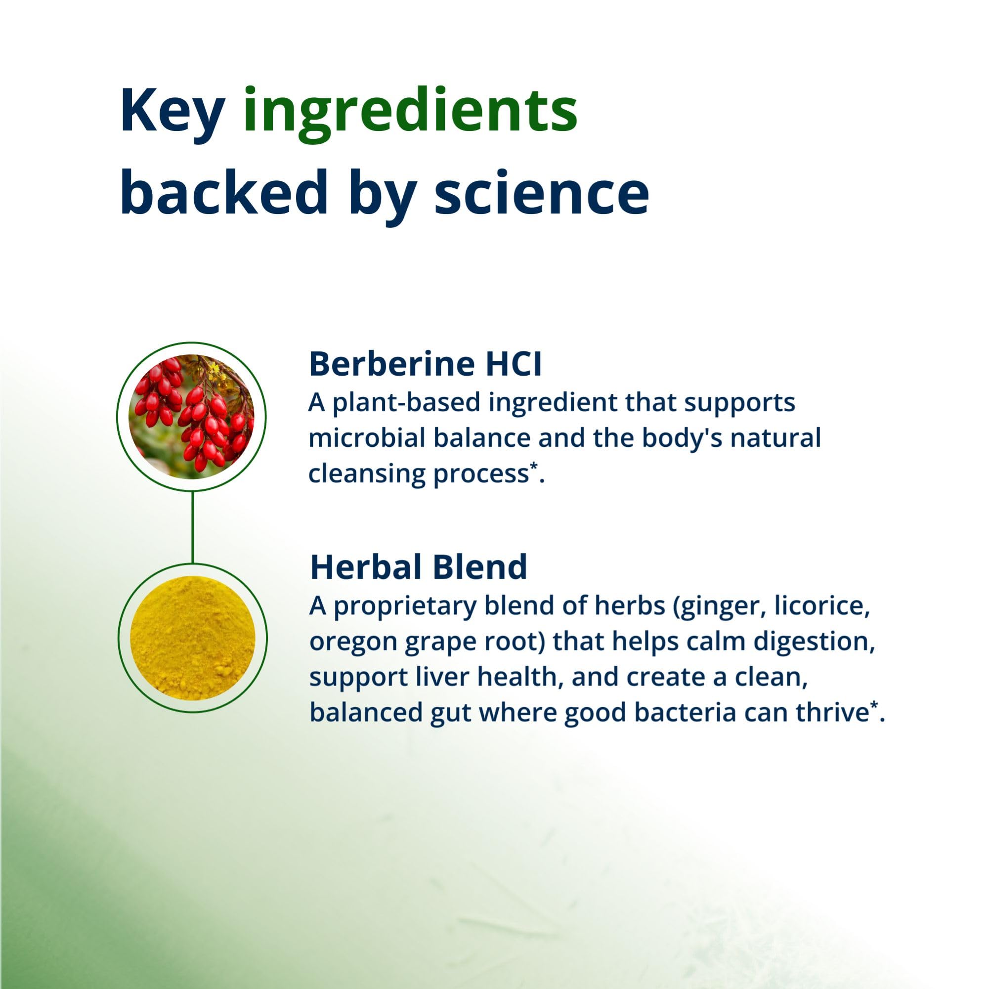 Metagenics Berberine HCl Supplement 400mg tablets on a surface