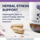 Metagenics Ginseng Adaptogen Stress Support 195g capsule close-up