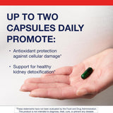Metagenics Kidney Support Supplement capsule close-up