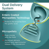 Micrazym Multi-Enzymes Supplement 25,000 USP Units ingredients list