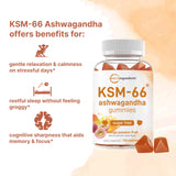 Micro Ingredients Ashwagandha Gummies nutritional information