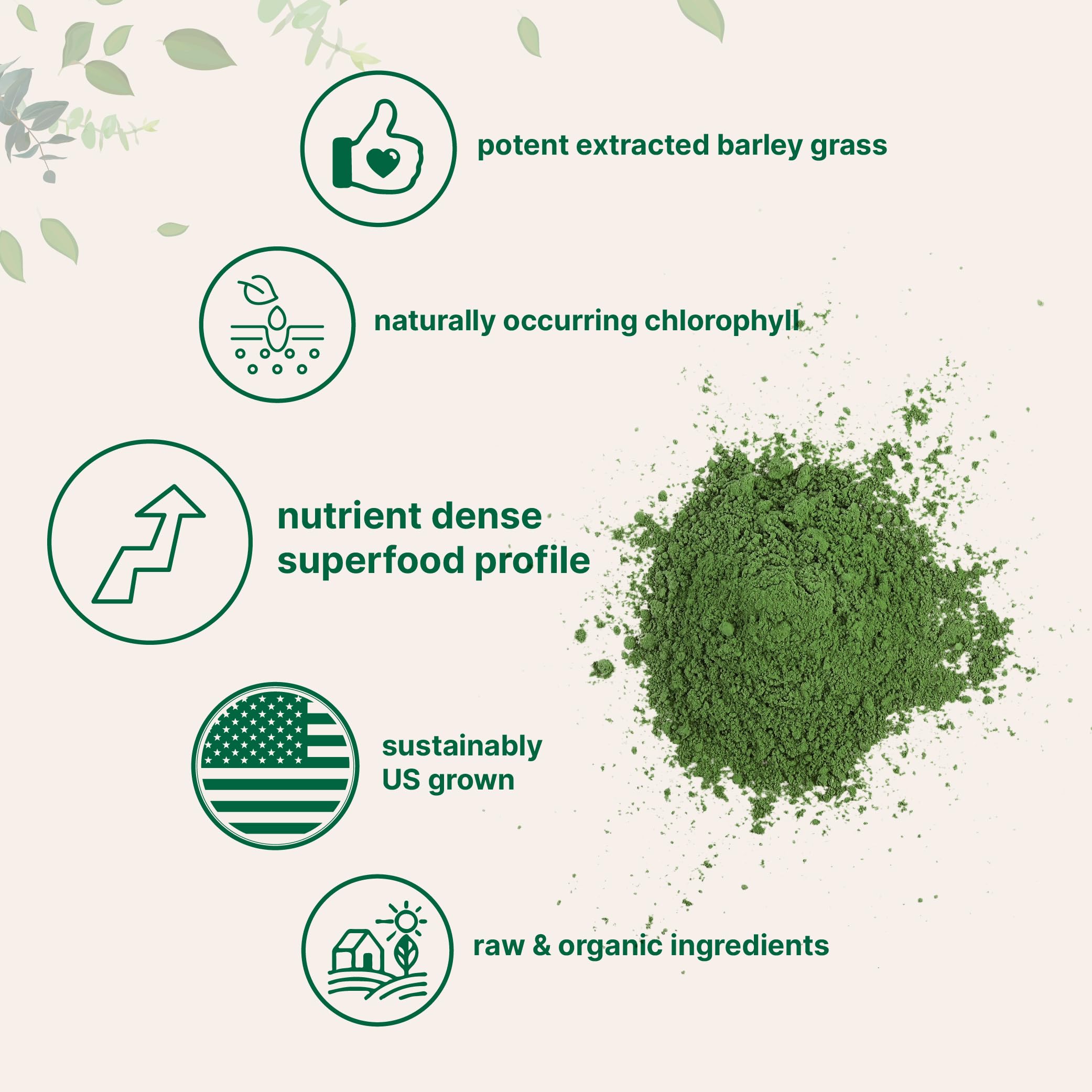 Micro Ingredients Barley Grass Powder in a glass of water