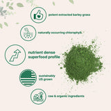 Micro Ingredients Barley Grass Powder in a glass of water