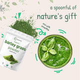 Micro Ingredients Barley Grass Powder on a kitchen counter
