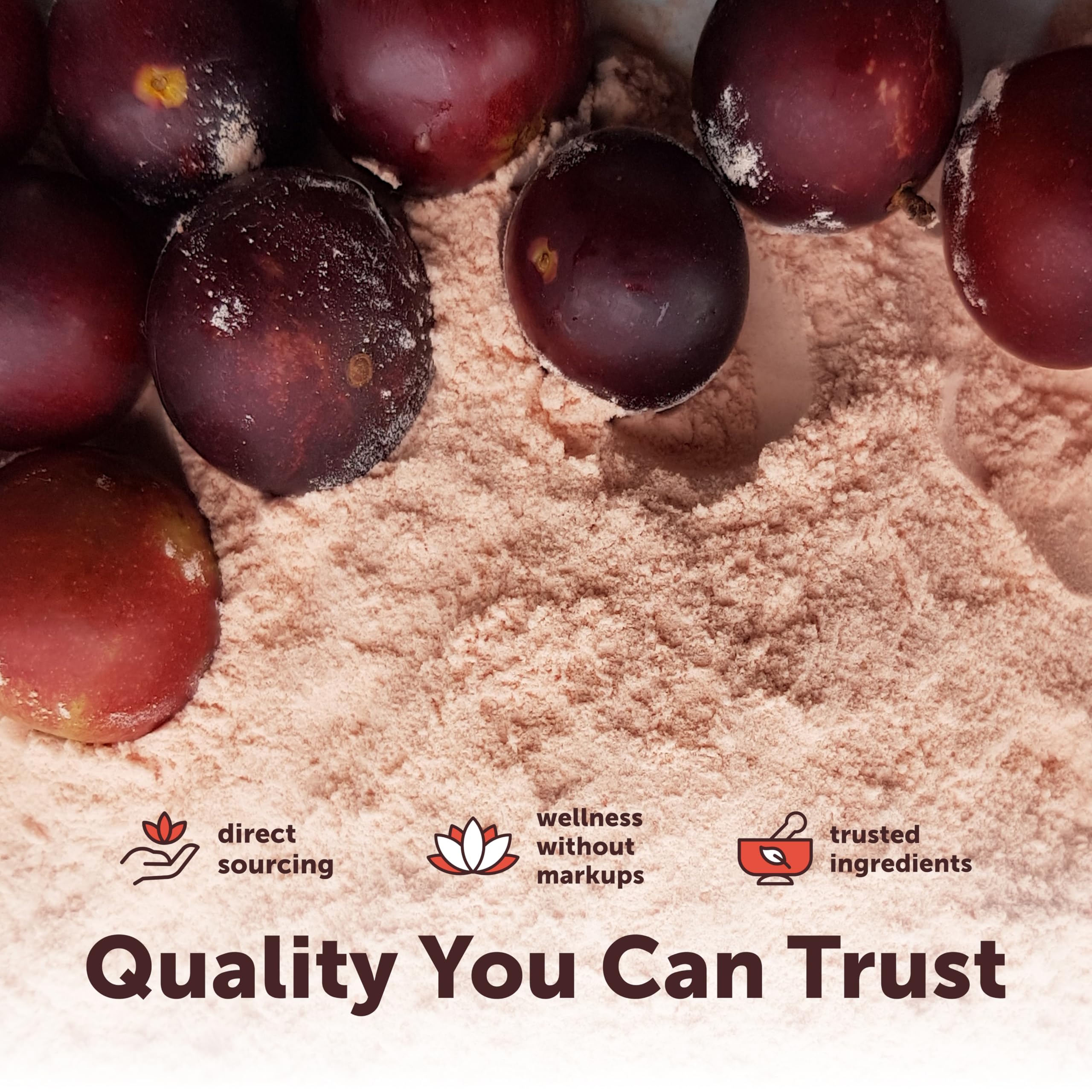 Micro Ingredients Camu Camu Berry Powder in a bowl
