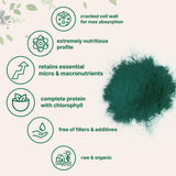 Micro Ingredients Chlorella Powder in a smoothie