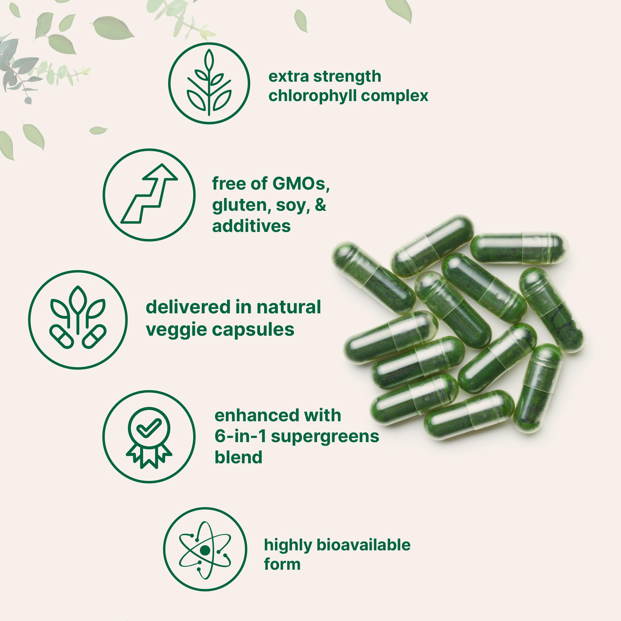 Micro Ingredients Chlorophyll Complex 240 veggie capsules with natural ingredients