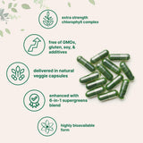 Micro Ingredients Chlorophyll Complex 240 veggie capsules with natural ingredients