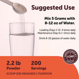 Micro Ingredients Creatine Monohydrate Powder scoop included