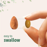 Micro Ingredients Ginger Root Softgel Supplement in a lifestyle setting